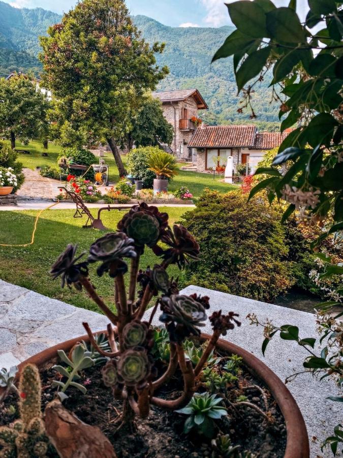 Il Fienile - Lake Como Heritage Home In Molino Maufet Watermill - Lake View Terrace Коліко Екстер'єр фото